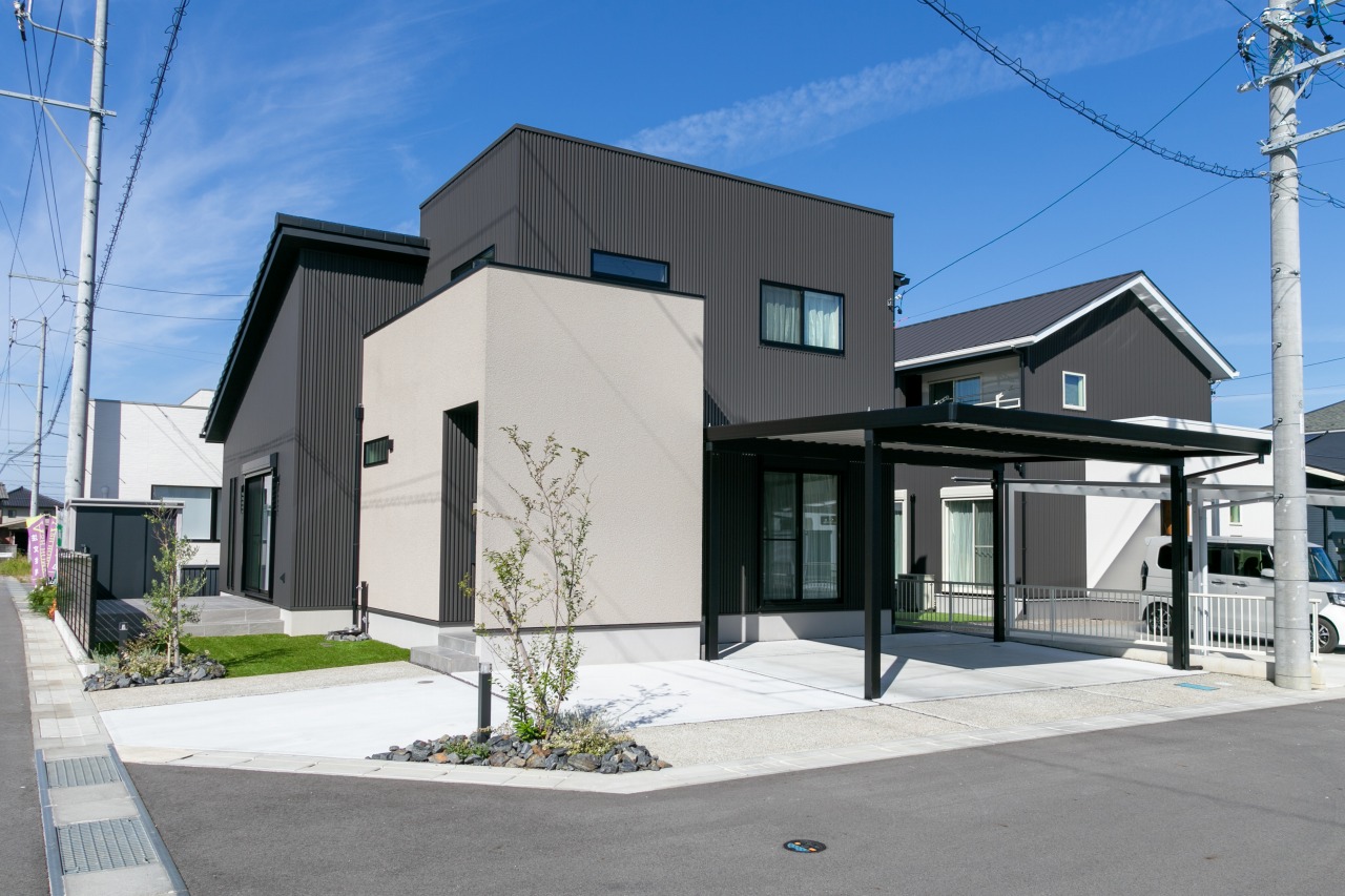 coming soon ... 写真