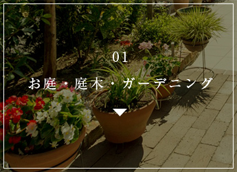 01 お庭・庭木・ガーデニング 