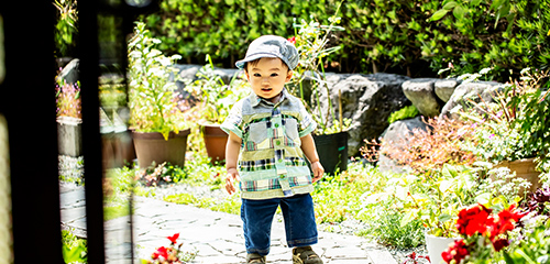 お庭・庭木・ガーデニング イメージ写真